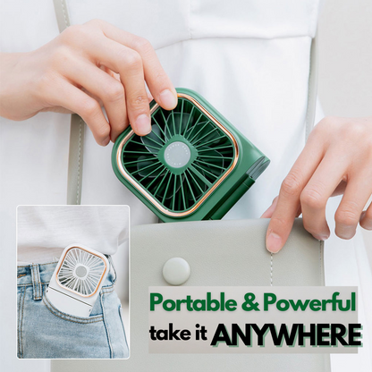 Multifunctional HandyFan®