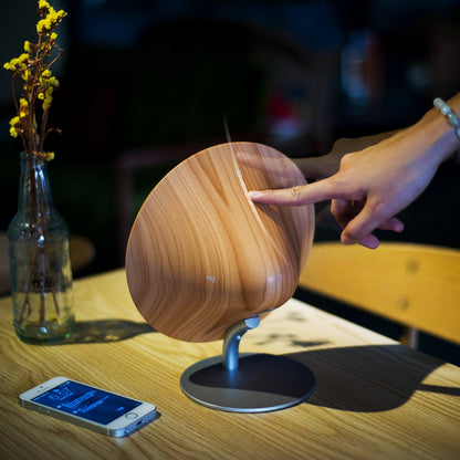 Wooden Cone Bluetooth Speaker (Excellent Sound Quality) - BuyRite